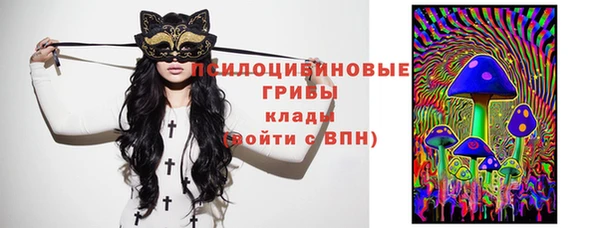 гидра Наволоки