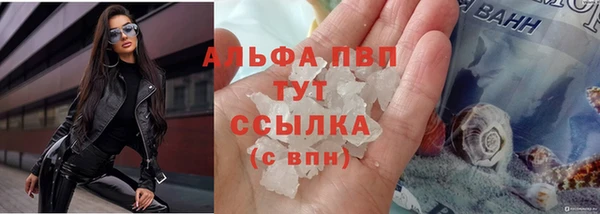 гидра Наволоки